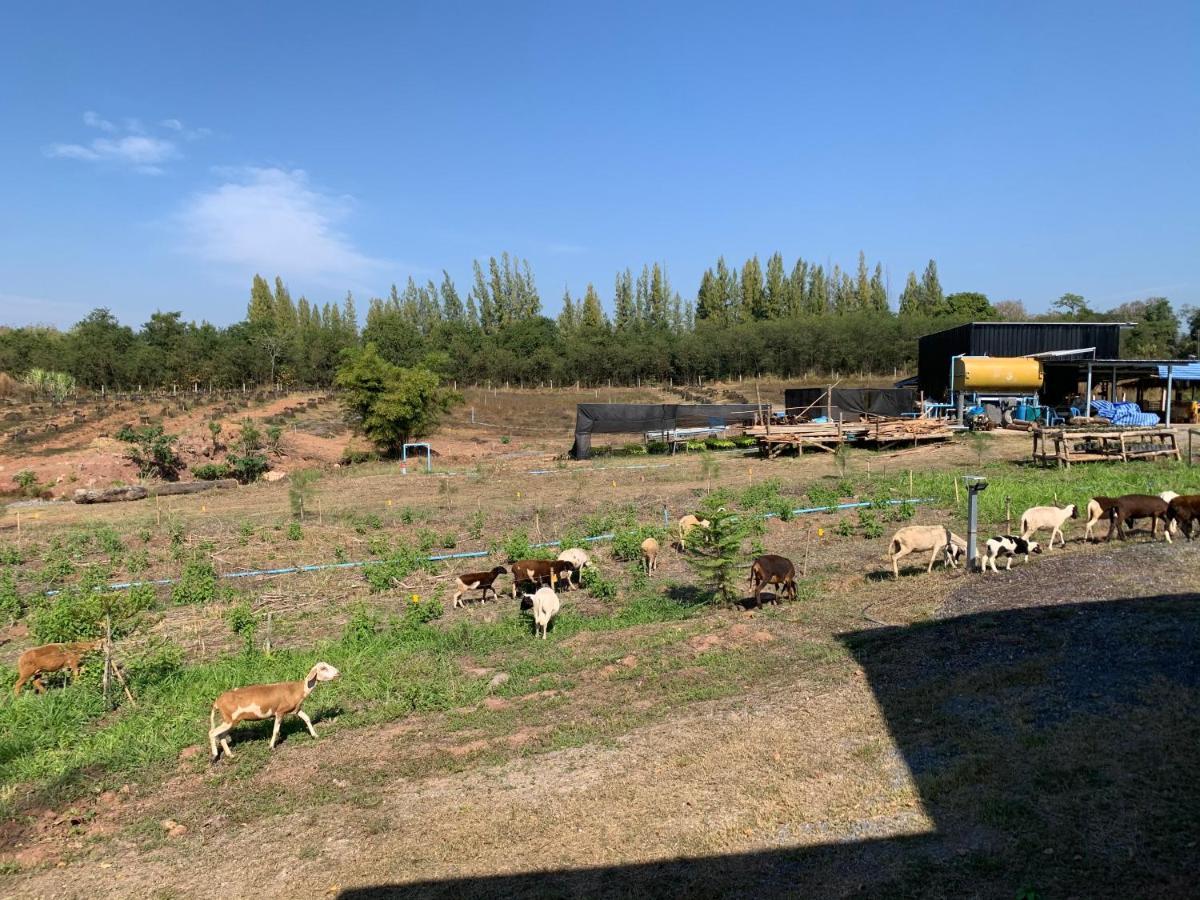 ฟาร์มแกะภูกระดึง Waraporn Valley Ban Nong Tum Exterior foto