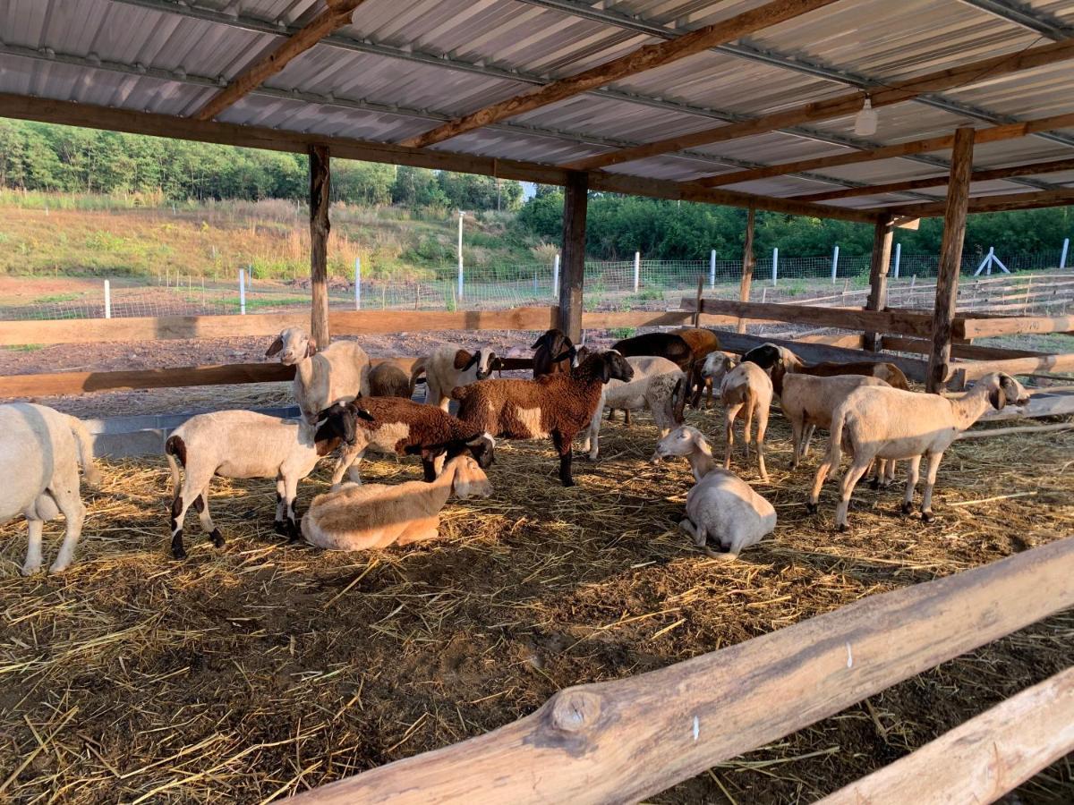 ฟาร์มแกะภูกระดึง Waraporn Valley Ban Nong Tum Exterior foto